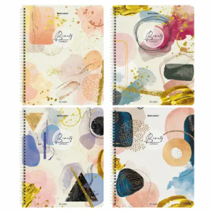 Тетрадь на кольцах А4 80л. клетка Erich Krause, обложка пластик, 50165