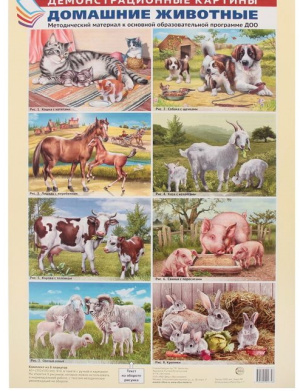 Демонстрационные картины "Домашние животные" 8 плакатов, А3+