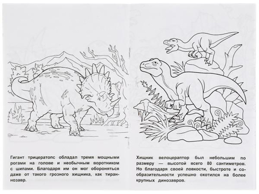310882 Юрский период. Первая раскраска А5.145х210 мм. 16 стр. 