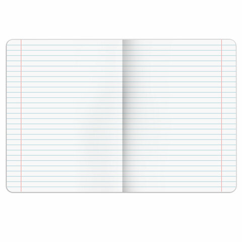 Тетрадь предметная PIGMENT 48 л., глянцевый УФ-лак, ЛИТЕРАТУРА, линия, подсказ, BRAUBERG