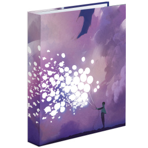 Тетрадь на кольцах А5 (165х215мм) 160л. BRAUBERG "Мечты", твердый картон, клетка