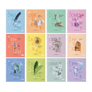 Тетради предметные, КОМПЛЕКТ 12 ПРЕДМЕТОВ, 48л, обложка картон, BRAUBERG VISION