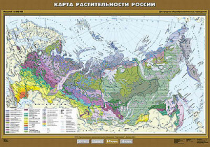 Учебн. карта "Растительность России" 100х140 8, 9 класс