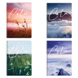 Тетрадь А4 96л. клетка на спирали BRAUBERG, обложка картон, "Calm"