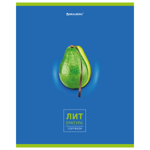 Тетрадь предметная AVOCADO 48л, глянцевый лак, ЛИТЕРАТУРА, линия, подсказ, BRAUBERG