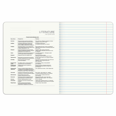 Тетрадь предметная PIGMENT 48 л., глянцевый УФ-лак, ЛИТЕРАТУРА, линия, подсказ, BRAUBERG