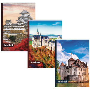 Тетрадь А4 96л. клетка BRAUBERG, офсет, обложка картон, ЗАМКИ