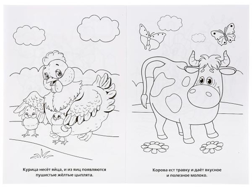 224515 Домашние животные.Первая раскраска малый формат.Формат:145х210 мм. Объем:16 стр.Умка в к.50шт