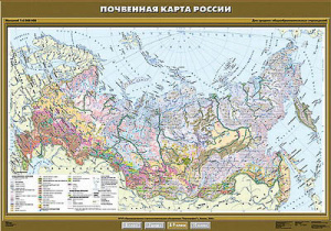Учебн. карта "Почвенная карта России" 100х140 8, 9 класс