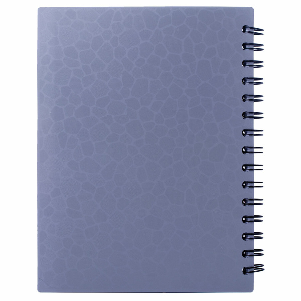 Тетрадь-блокнот A5 (170x215мм) 120л. BRAUBERG "Rich", 4 разделителя, обл.пластик, линия