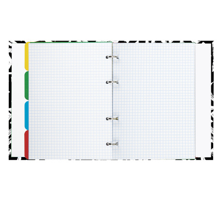 Тетрадь на кольцах А5 (175х215мм) 240л. BRAUBERG "Calligrap, твердый картон, клетка, с разделителями