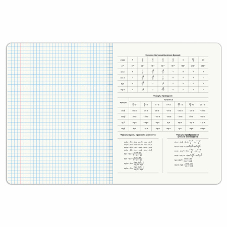 Тетрадь предметная PIGMENT 48л, глянцевый УФ-лак, АЛГЕБРА, клетка, подсказ, BRAUBERG