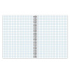 Тетрадь А4 120л. клетка на спирали BRAUBERG, обложка картон, "Vision"