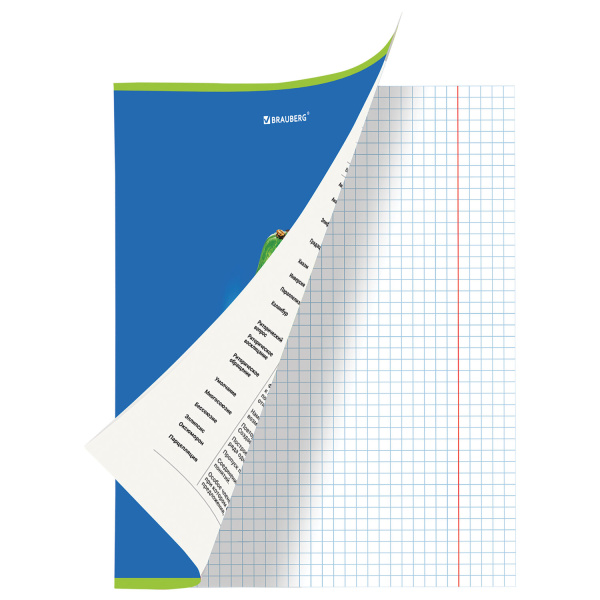 Тетрадь предметная AVOCADO 48л, глянцевый лак, ЛИТЕРАТУРА, линия, подсказ, BRAUBERG