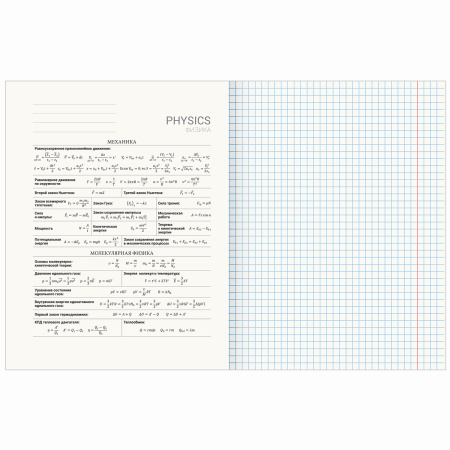 Тетрадь предметная ПРИРОДА 48л, обложка картон, ФИЗИКА, клетка, подсказ, BRAUBERG