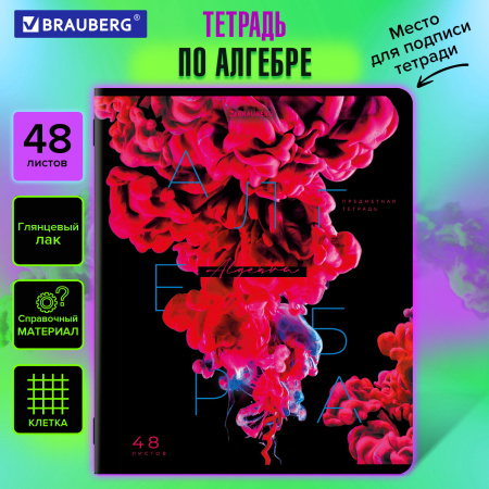 Тетрадь предметная PIGMENT 48л, глянцевый УФ-лак, АЛГЕБРА, клетка, подсказ, BRAUBERG