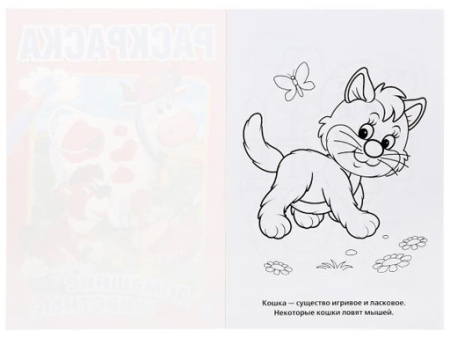 224515 Домашние животные.Первая раскраска малый формат.Формат:145х210 мм. Объем:16 стр.Умка в к.50шт