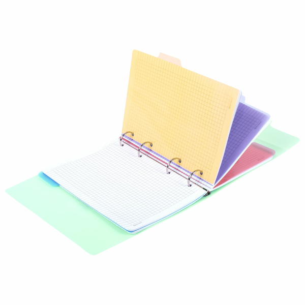 Тетрадь на кольцах А5 (175х220мм) 120л. BRAUBERG "Мятный", пластик, на липучке, с разделителями