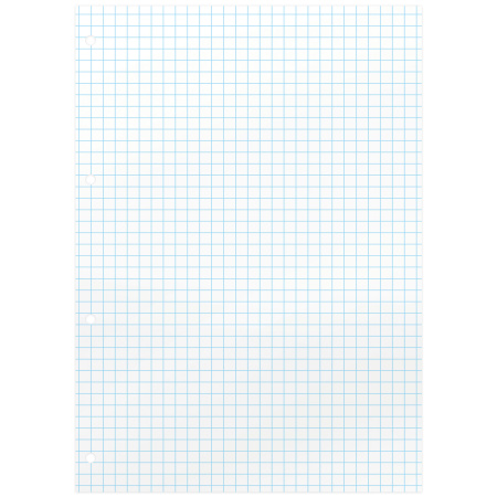 Сменный блок к тетради на кольцах А5 80л. BRAUBERG, Белый