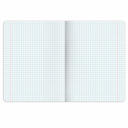 Тетрадь предметная PIGMENT 48 л., глянцевый УФ-лак, ХИМИЯ, клетка, подсказ, BRAUBERG