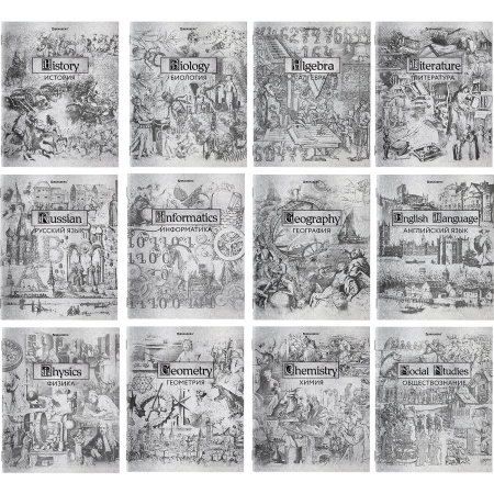 Тетради предметные, КОМПЛЕКТ 12 ПРЕДМЕТОВ, SILVER, 48л, С СЕРЕБРЯНОЙ ОБЛОЖКОЙ, BRAUBERG