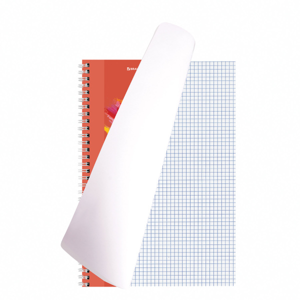 Тетрадь А4 120л. клетка на спирали BRAUBERG, обложка картон, "Vision"