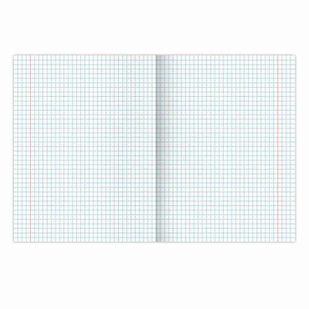 Тетради предметные, КОМПЛЕКТ 12 ПРЕДМЕТОВ, 48л, обложка картон, BRAUBERG DELIGHT