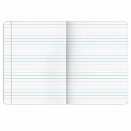 Тетрадь предметная PIGMENT 48 л., глянцевый УФ-лак, ЛИТЕРАТУРА, линия, подсказ, BRAUBERG