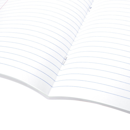 Тетрадь предметная AVOCADO 48л, глянцевый лак, ЛИТЕРАТУРА, линия, подсказ, BRAUBERG