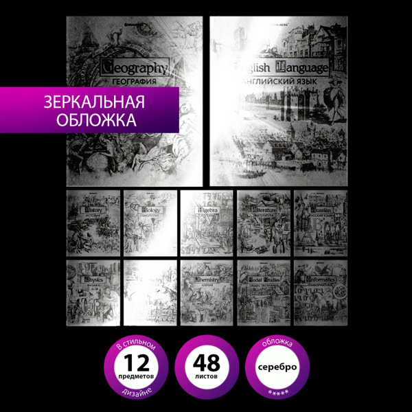 Тетради предметные, КОМПЛЕКТ 12 ПРЕДМЕТОВ, SILVER, 48л, С СЕРЕБРЯНОЙ ОБЛОЖКОЙ, BRAUBERG