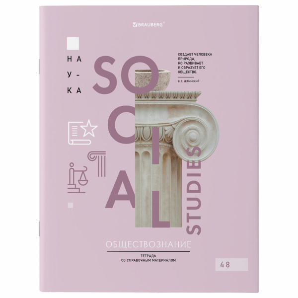 Тетради предметные, КОМПЛЕКТ 12 ПРЕДМЕТОВ, 48л, обложка картон, BRAUBERG VISION