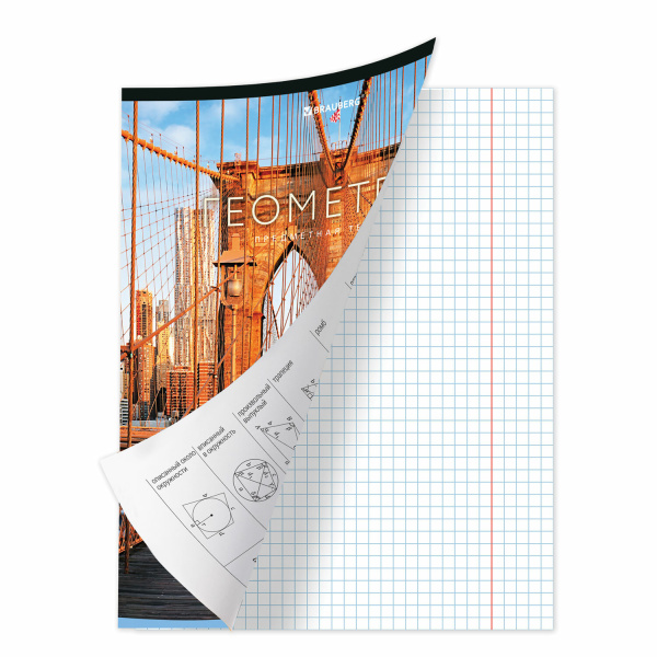 Тетрадь предметная КЛАССИКА NEW 48л, обложка картон, ГЕОМЕТРИЯ, клетка, подсказ, BRAUBERG