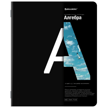 Тетради предметные, КОМПЛЕКТ 12 ПРЕДМЕТОВ, 48л, матовая ламинация, BRAUBERG INTELLIGENCE