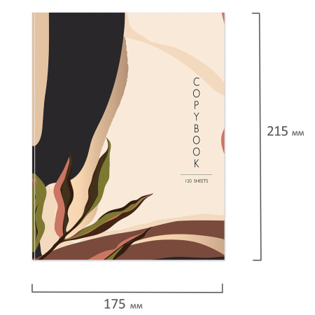 Тетрадь на кольцах А5 (165х215мм) 120л. BRAUBERG "Vision", твердый картон, клетка