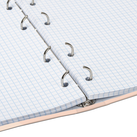 Тетрадь на кольцах А5 (175х215мм) 120л. BRAUBERG "Девушка", твердый картон, клетка