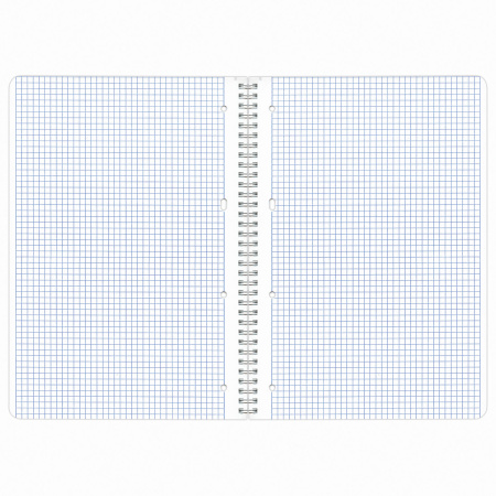 Тетрадь А4 96л. клетка на спирали BRAUBERG, офсет, обложка мелованный картон, "4 сезона"