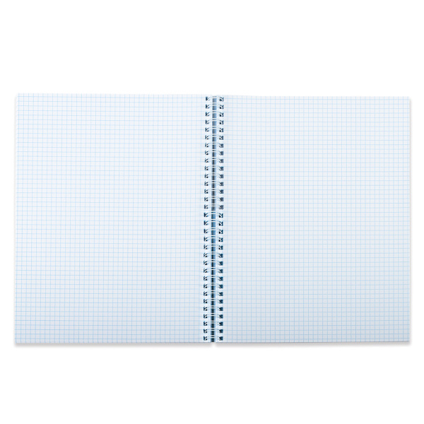 Тетрадь А4 80л. клетка на спирали BRAUBERG, обложка твердая, "Color"