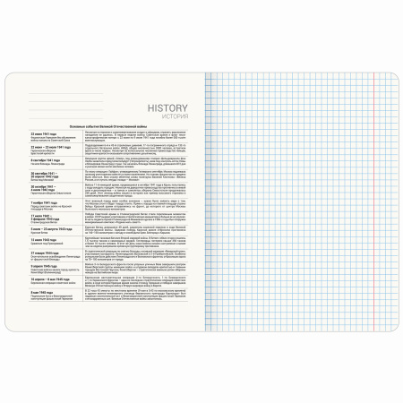 Тетрадь предметная ANIME GIRLS 48л, матовая ламинация, ИСТОРИЯ, клетка, подсказ, BRAUBERG