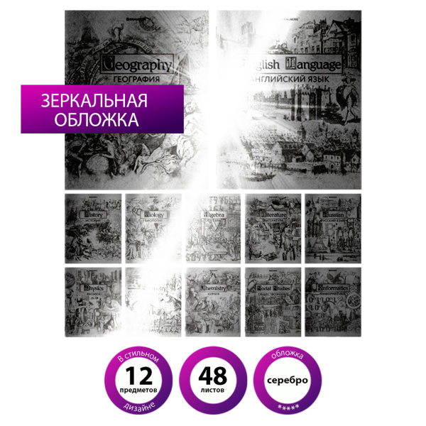 Тетради предметные, КОМПЛЕКТ 12 ПРЕДМЕТОВ, SILVER, 48л, С СЕРЕБРЯНОЙ ОБЛОЖКОЙ, BRAUBERG