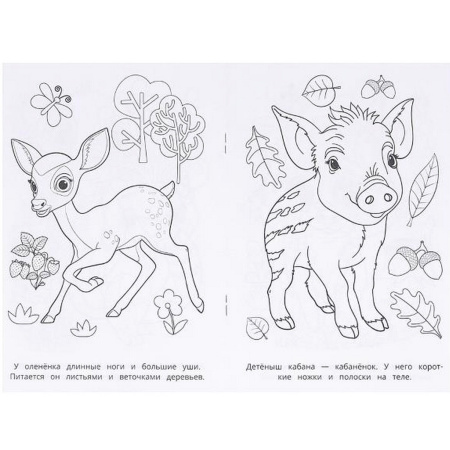 Книжка-раскраска "ПОПУЛЯРНЫЕ СЮЖЕТЫ" АССОРТИ, 145х210 мм, 16 страниц, "УМКА"