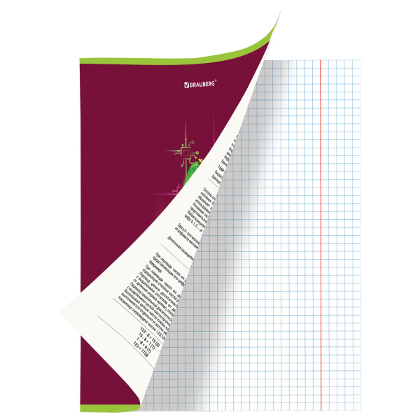 Тетрадь предметная AVOCADO 48л, глянцевый лак, ИНФОРМАТИКА, клетка, подсказ, BRAUBERG