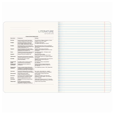 Тетрадь предметная СИЯНИЕ ЗНАНИЙ 48л, глянцевый УФ-лак, ЛИТЕРАТУРА, линия, BRAUBERG