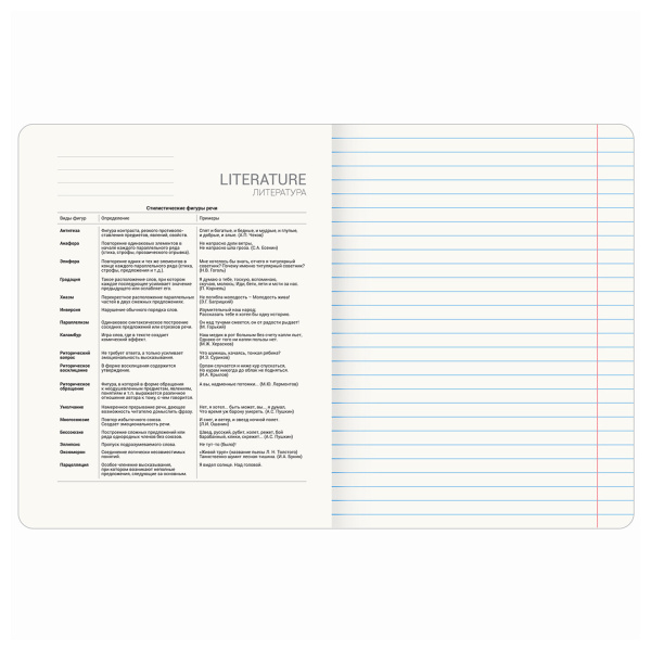 Тетрадь предметная СИЯНИЕ ЗНАНИЙ 48л, глянцевый УФ-лак, ЛИТЕРАТУРА, линия, BRAUBERG