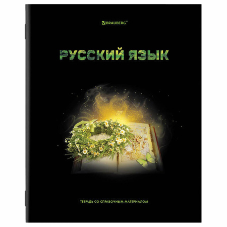 Тетради предметные, КОМПЛЕКТ 12 ПРЕДМЕТОВ, "SHADE", 48 л., глянцевый УФ-лак, BRAUBERG