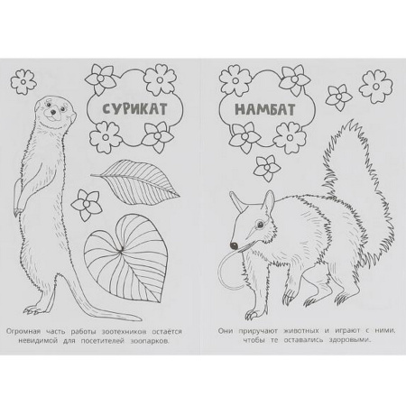 Книжка-раскраска "ПОПУЛЯРНЫЕ СЮЖЕТЫ" АССОРТИ, 145х210 мм, 16 страниц, "УМКА"