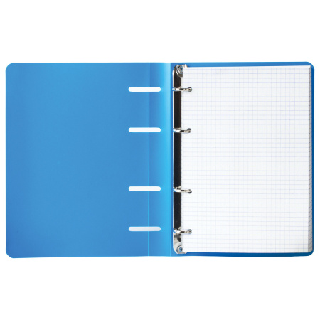 Тетрадь на кольцах А5 (160х215мм) 80л. BRAUBERG "Голубой", пластик, клетка