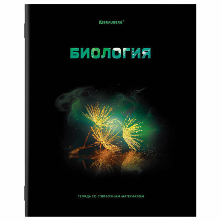 Тетради предметные, КОМПЛЕКТ 12 ПРЕДМЕТОВ, "SHADE", 48 л., глянцевый УФ-лак, BRAUBERG