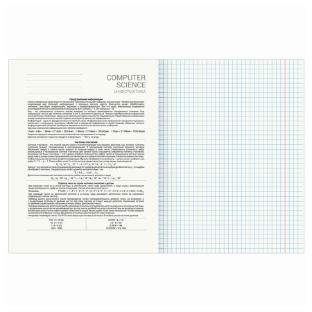 Тетрадь предметная DELIGHT 48л, обложка картон, ИНФОРМАТИКА, клетка, BRAUBERG