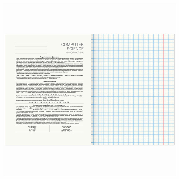 Тетрадь предметная DELIGHT 48л, обложка картон, ИНФОРМАТИКА, клетка, BRAUBERG