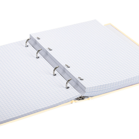 Тетрадь на кольцах А5 (175х215мм) 240л. BRAUBERG "Miracle", твердый картон, клетка